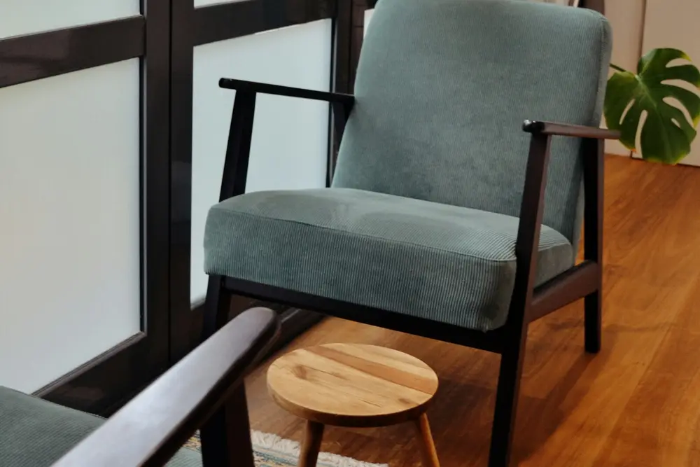 Fotoliu confortabil lângă o fereastră, cu plante
